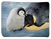 Penguin Blanket