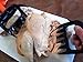BBQ Set - Silicone BBQ Gloves (1 Pair) Plus Meat Handlers (1 Pair) * BBQ Gift Set Includes 2 Premium Products a Pair of Caveman Meat Claws and a Pair of Heat Resistant Cooking Gloves