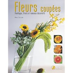 Fleurs coup�es : Feuillages, fruits et rameaux d�coratifs