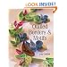 Quilled Borders and Motifs