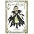 Rozen Maiden 新装版 1 (ヤングジャンプコミックス)