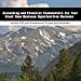 Accounting and Financial Fundamentals For Your Great Home Business Opportunities Business
