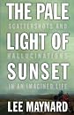 The Pale Light of Sunset: Scattershots and Hallucinations in an Imagined Life