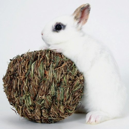 Peter's Woven Grass Play Ball