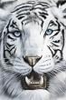 White Siberian Tiger - Nature Poster (Size: 24" x 36")