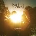 Lights Out (Vinyl+CD) [Vinyl LP]