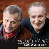 Kein Ende in Sicht (Limited Version) Cover