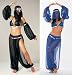 Sexy Harem Arabian Belly Dancer Halloween Costume