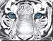 SIBERIAN WHITE TIGER PRINT Mouse Mat