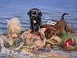 Three Little Fishermen Jigsaw Puzzle 500 Piece
