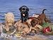 Three Little Fishermen Jigsaw Puzzle 500 Piece