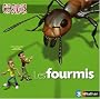 Les fourmis