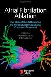 Atrial Fibrillation Ablation: The State of the Art based on the Venicechart International Consensus Document