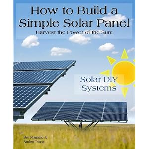 How To Build A Simple Solar Panel (Kindle Edition) 