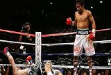 Pac-Man Manny Pacquiao vs Ricky Hatton KO 8x10 Photo