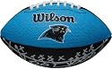 Carolina Panthers Team Logo Mini Football