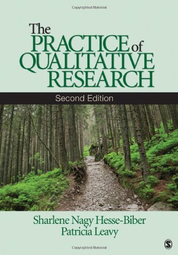 The Practice of Qualitative Research Book Image