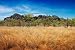 Wallmonkeys Peel and Stick Wall Decals - Australian Outback - 36W x 24H Removable Graphic