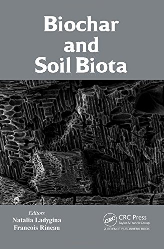 Biochar and Soil Biota