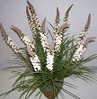 24" Silk Torch Flower and Wild Grass (cream)