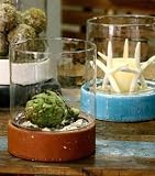 Terrariums