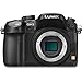 Panasonic Lumix DMC-GH3 GH3 DMCGH3 Mirrorless Micro Four Thirds Digital Camera (Black) + Panasonic H-FS45150K Lumix G Series Lens (Black) + Sony 64GB SDXC Memory Card + Card Reader + Wasabi Battery Charger and Two Replacement Batteries + Lens Filter + Camera Bag + Accessory Kit