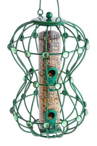 2 lb Hourglass Bird Squirrel Free