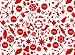 Straight No Chaser - Wrapping Paper