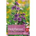 Heilpflanzen: Erkennen | Sammeln | Anwenden