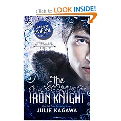 The Iron Knight (The Iron Fey - Book 4)