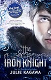 The Iron Knight (The Iron Fey - Book 4)