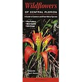 wildflowers of central florida a guide to common  rare native species quick reference guides