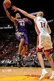 Phoenix Suns v Miami Heat: Grant Hill and Zydrunas Ilgauskas Photographic Poster Print by Andrew Bernstein, 28x42