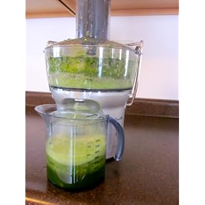 Breville BJE200XL 700-Watt Compact Juice Fountain