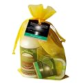 Bungalow Glow by Bubble Shack Hawaii Loofah Soap, Lotion and Soy Wax Travel Tin Gift Set - Juicy Pineapple