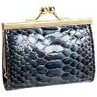 Abas Framed Coin Purse