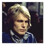 Adam Faith Color Box Canvas Print Gallery Wrapped (Budgie - Blue Jacket)