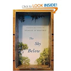 The Sky Below