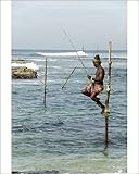 Photographic Prints of Traditional stilt fisherman, Koggala, near Weligama, south coast of Sri Lanka, from Robert Harding