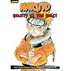 Naruto: Chapter Book, Vol. 13: Beauty Is the Beast (Naruto Chapter Books)