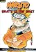 Naruto: Chapter Book, Vol. 13: Beauty Is the Beast (Naruto Chapter Books)