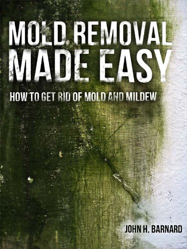 get rid of mold