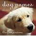 Dog Names