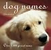 Dog Names