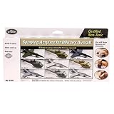 Aircraft Spray Acrylic Set by Testor Corp.