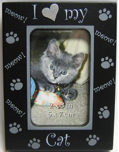 I Love My Cat - Meow - Paws Mini Picture Frame