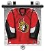 Ottawa Senators Jersey Window Shade