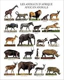 Kunstdruck / Poster: Atelier Nouvelles Images, Tiere in Afrika, 40 x 50