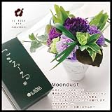 �y�t�����[�}�[�P�b�g�ԗR�z�u���[�J�[�l�[�V�����g���[���_�X�g�h�̃A�����W�Ƙa������􂱂���[��g������[���h�̃Z�b�g��������̃Z�b�g�̓N�[���ւł��͂����܂��B