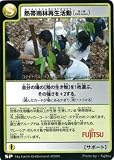熱帯雨林再生活動 (富士通2009version) 【サポート】 SP-Fujitsu-1 (地球環境カードゲーム マイアース シングルカード) エコ活動